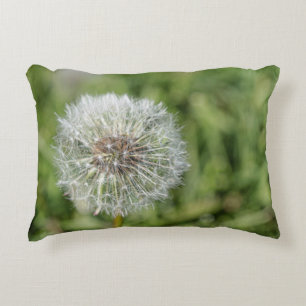 Coussins Décoratifs Fleur de pissenlit blanc sur herbe verte