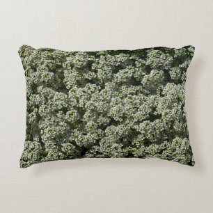 Coussins Décoratifs Fleurs d'Alyssum doux Floral blanc