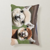 Coussins Décoratifs Fluff & Friendship (Devant(Vertical))