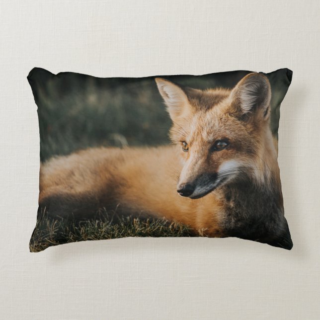 COUSSINS DÉCORATIFS FOX BROWN AU SOL (Devant)