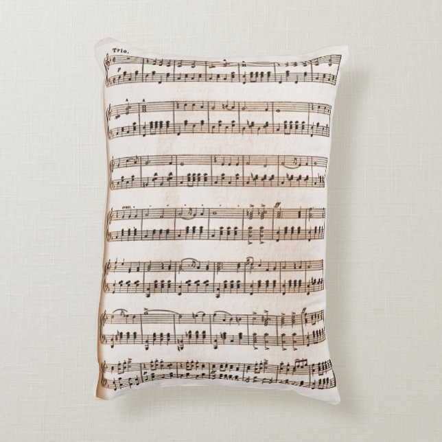 Coussins Décoratifs Gr (Dos(Vertical))