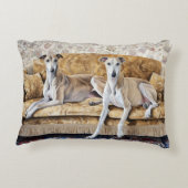 Coussins Décoratifs Greyhound (Dos)