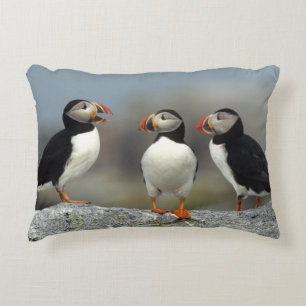 Coussins Décoratifs Groupe de Puffin de l'Atlantique