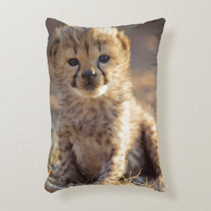 Coussins Décoratifs Guépard 19 jours petit mâle