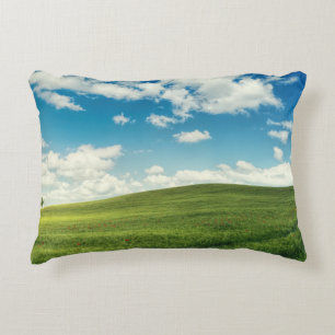 Coussins Décoratifs Herbe de champ Nature