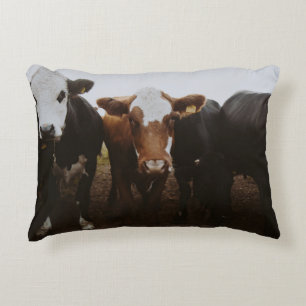 COUSSINS DÉCORATIFS HERBE DE VACHES