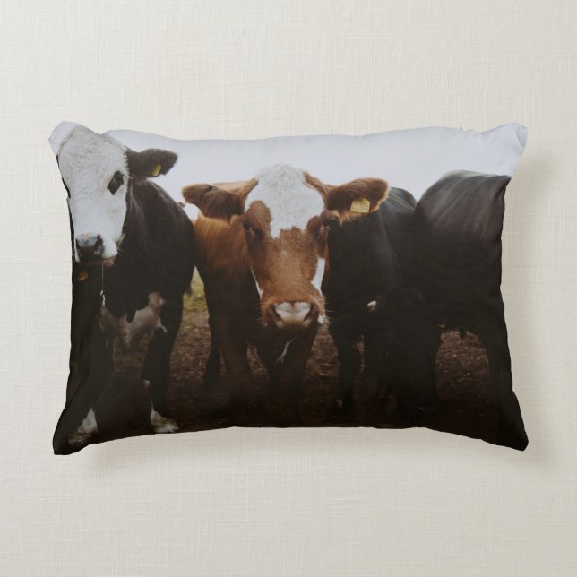 COUSSINS DÉCORATIFS HERBE DE VACHES (Devant)