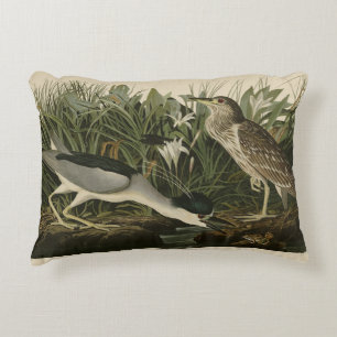 Coussins Décoratifs Héron de nuit, Qua Bird, Audubon's Birds of Americ