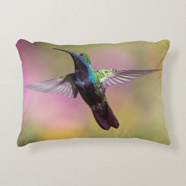 Coussins Décoratifs Humming Bird (Devant)