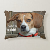 J'entends un lapin ! Chien de beagle