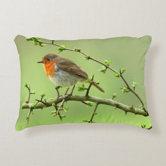 Coussins Décoratifs Le Robin (Devant)