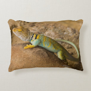 Coussins Décoratifs Lézard à collerette