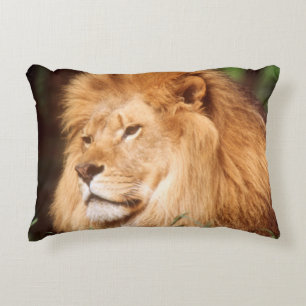 Coussins Décoratifs Lion adulte mâle