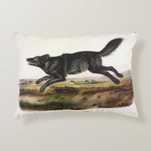 Coussins Décoratifs Loup noir ou Loup noir-américain (Canis Lupus)