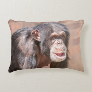 Coussins Décoratifs Lumière et douceur - Stance de chimpanzé