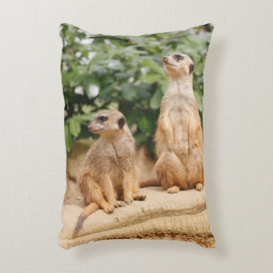 Coussins Décoratifs Meerkat 009