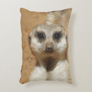 Coussins Décoratifs Meerkat 016