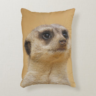 Coussins Décoratifs Meerkat 020