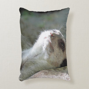 Coussins Décoratifs Meerkat 024