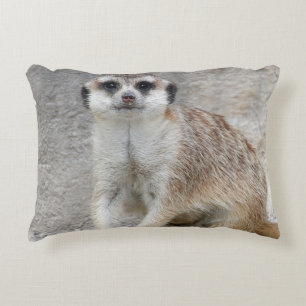 Coussins Décoratifs Meerkat 134