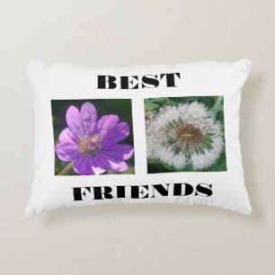 Coussins Décoratifs Meilleur Modèle d'images des amis