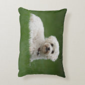 Coussins Décoratifs Moritz the Maltese (Dos(Vertical))