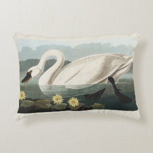 Coussins Décoratifs Nymphéa Cygne Blanc Audubon Vintage Art