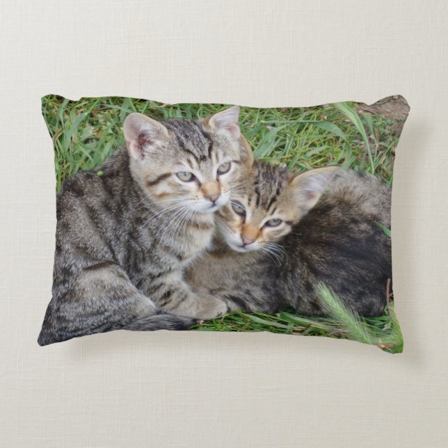 Coussins Décoratifs Oreiller à lancer des soeurs Tabby (Dos)