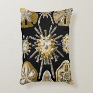 Coussins Décoratifs Oursins Anciens Dollars de Sable par Ernst Haeckel