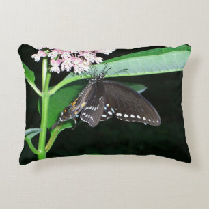 Coussins Décoratifs Papillon de nuit noir à Shenandoah