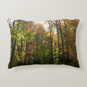 Coussins Décoratifs Paysage d'automne de forêt ensoleillée