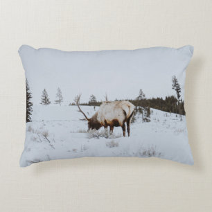 COUSSINS DÉCORATIFS PAYSAGE D'HIVER AU CERF