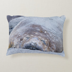 Coussins Décoratifs Phoque d'éléphant dormant