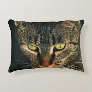 COUSSINS DÉCORATIFS PHOTOGRAPHIE COMPLÈTE DE TABY GRIS CAT