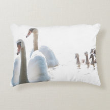 Photographie de nature de la famille des cygnes