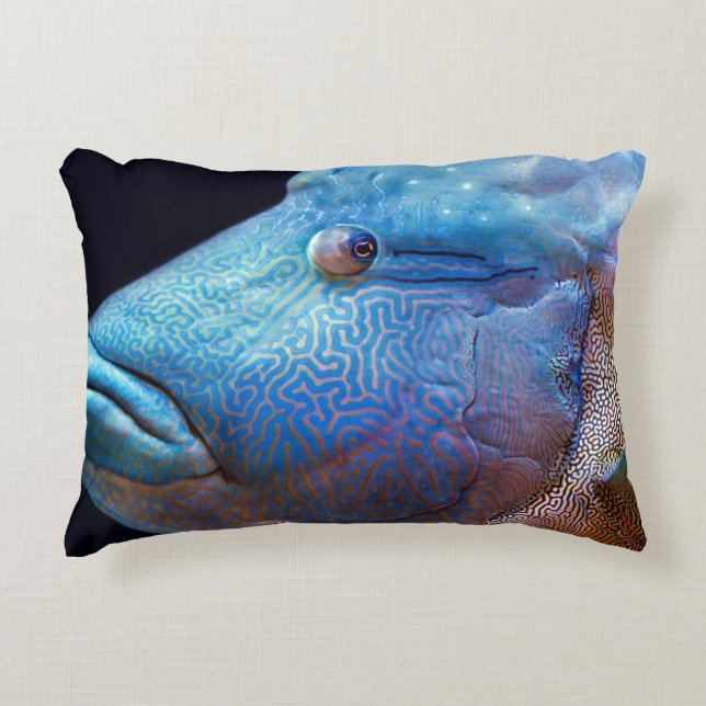Coussins Décoratifs Poisson bleu (Devant)