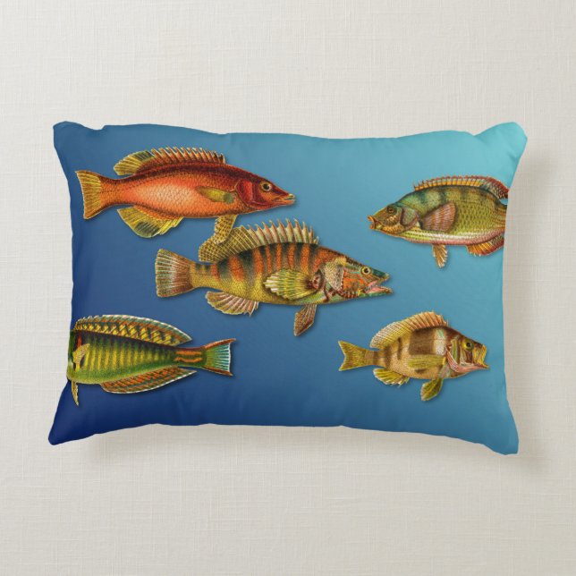Coussins Décoratifs Poisson coloré (Dos)