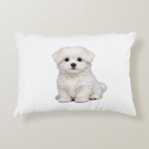 Coussins Décoratifs Portrait de chiot maltais blanc et duveteux Amateu