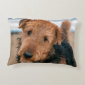 Coussins Décoratifs Portrait d'un Airedale Terrier (Dos)