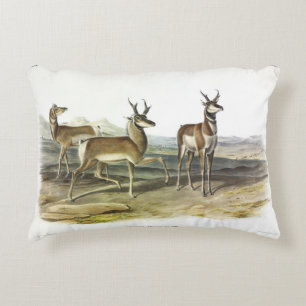 Coussins Décoratifs Prairie Wolf