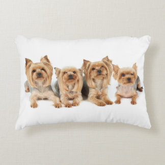 Coussins Décoratifs Quatre yorkies