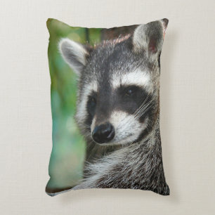 Coussins Décoratifs Raccoon 001