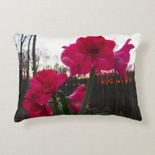 Coussins Décoratifs Red Amaryllis et le lever du soleil d'hiver