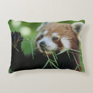Coussins Décoratifs RedPanda 002
