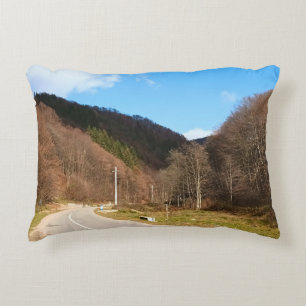 Coussins Décoratifs Route sinueuse à travers la forêt – Nature sauvage