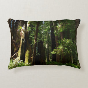 Coussins Décoratifs Séquoias et fougères au parc national de Redwood