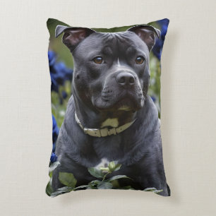 Coussins Décoratifs Staffordshire Bull Terrier Dans Blue Rose Garden,