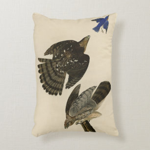Coussins Décoratifs Stanley (Cooper's) Hawk Audubon's Birds of America