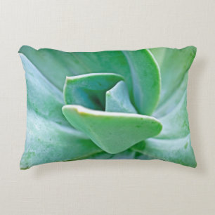 Coussins Décoratifs Swirl Succulent