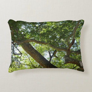 Coussins Décoratifs Sycamore Tree Nature verte